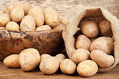 《怪物猎人 崛起》全新活动任务“公主们的盛宴” 明日上线